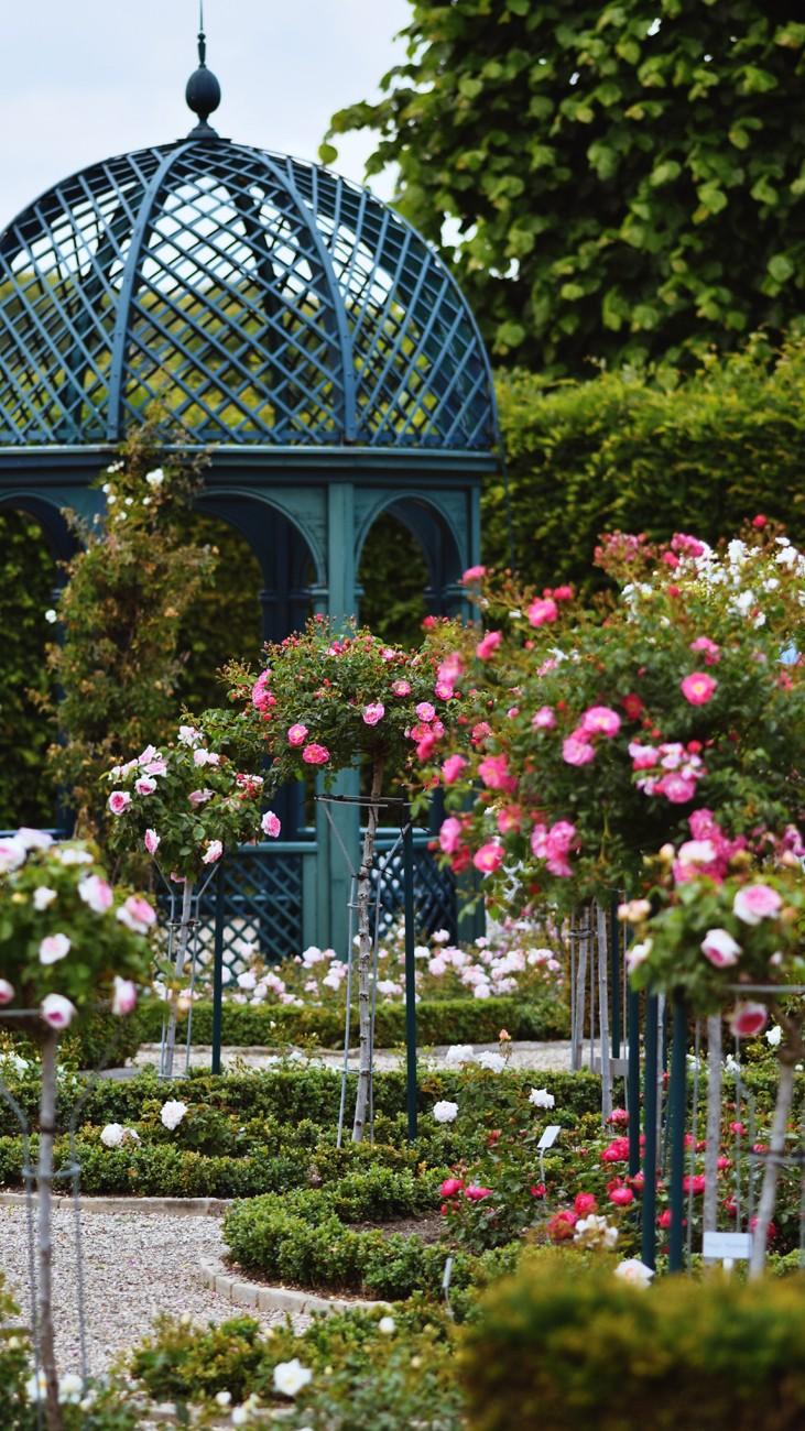 rose-garden-2026-01-07-05-19-17-utc-1.jpg